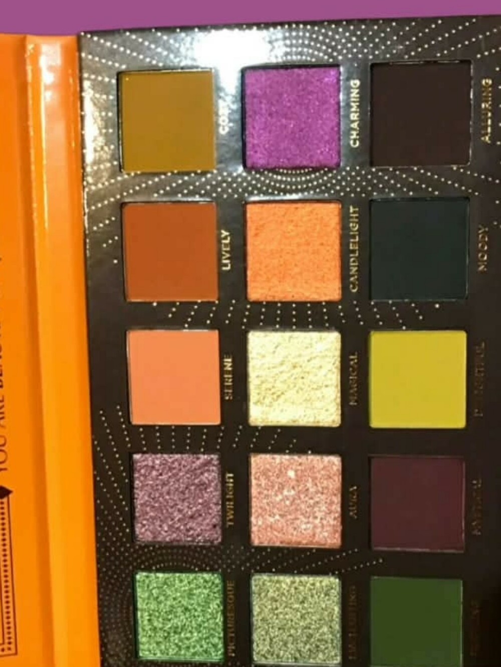 Ace Beaute Ambiance Eyeshadow Palette Vibrant, Shapeshifting Glimmer Shades BNIB